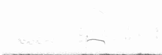 kulík hnědokřídlý - ML619456879