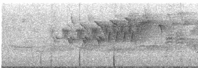 Cerulean Warbler - ML619457447