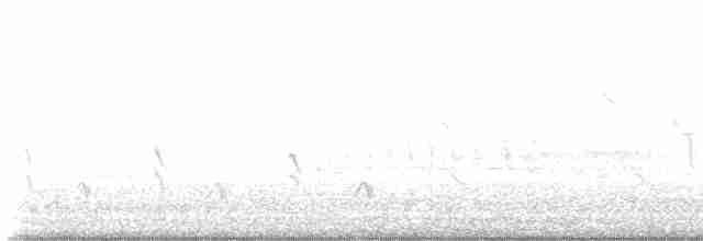גיבתונית רוננת - ML619457484