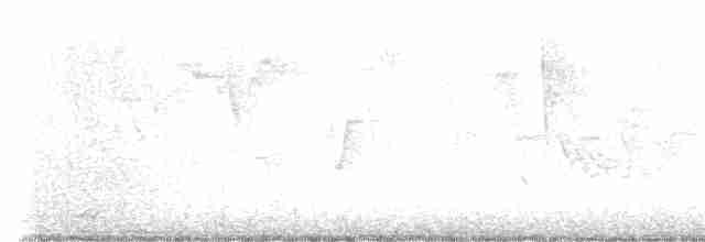 Малая вильсония - ML619458558