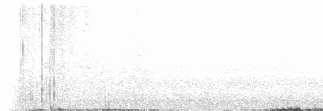 Черногорлая малая овсянка - ML619458768