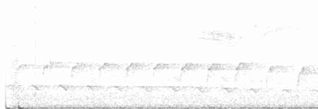 Connecticut Warbler - ML619458951