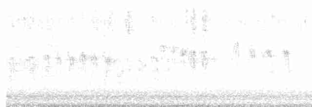 křivka bělokřídlá - ML619458977