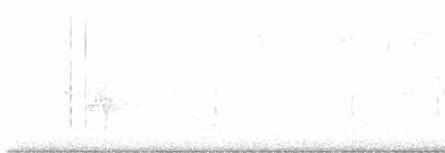 Paruline à croupion jaune (coronata) - ML619459419