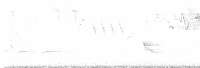 drozdec černohlavý - ML619459470