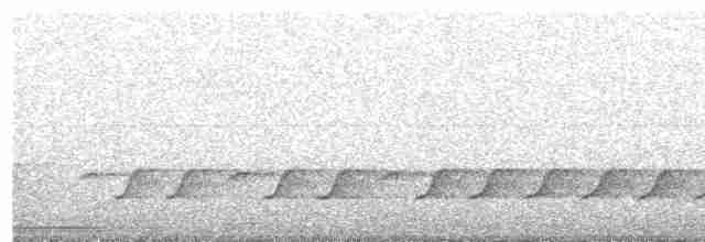 Амурская райская мухоловка - ML619460135
