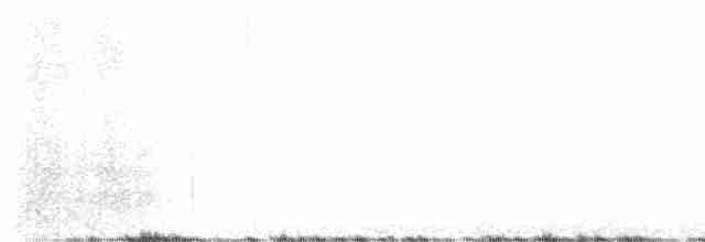 Тёмный мухолов - ML619460196