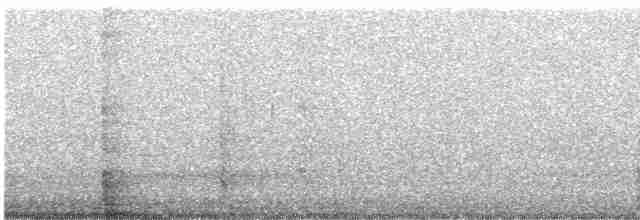Chouette rayée - ML619460535