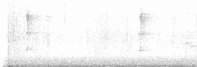 Черноголовый толстонос - ML619460558