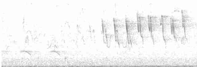 Paruline à calotte noire - ML619460921