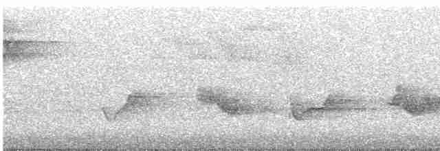 Kara Kanatlı Piranga - ML619461508
