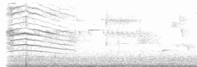 Пересмішник сірий - ML619462208