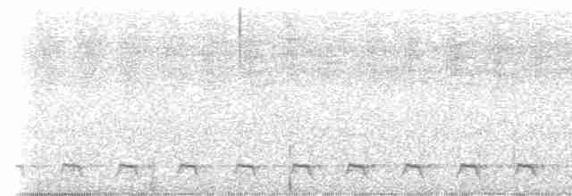 Trogón Violáceo Norteño - ML619462456