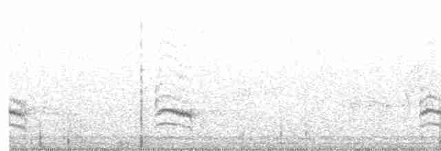 Weißbrustkleiber - ML619463165