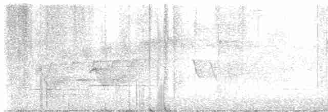 Cerulean Warbler - ML619463838