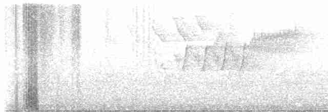 Cerulean Warbler - ML619463839