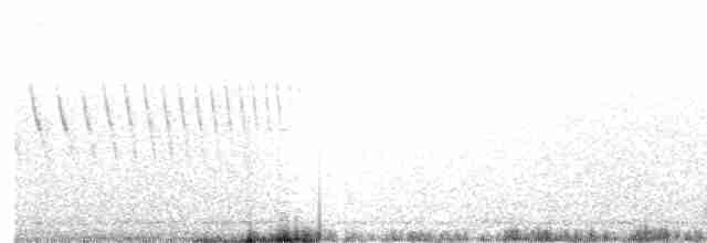 Черногорлая малая овсянка - ML619464543