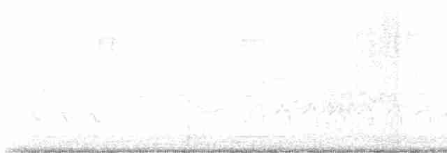 Oriole des vergers - ML619464711