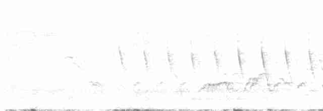 Дрізд-короткодзьоб Cвенсона - ML619464925