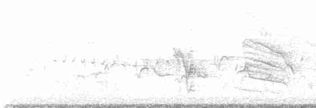 drozdec černohlavý - ML619464969