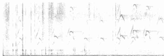 Kırlangıç Kuyruklu Çaylak - ML619465283