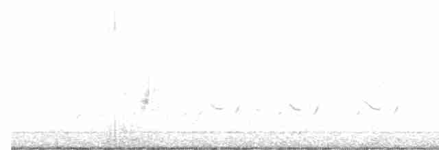 tyranovec vrbový - ML619465530