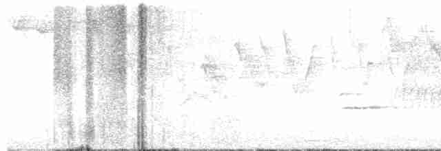 Дрізд-короткодзьоб Cвенсона - ML619465850