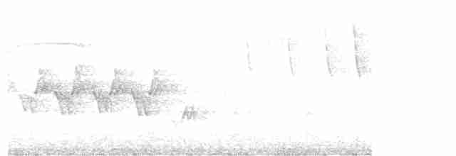 Черногорлая хвойница - ML619465939
