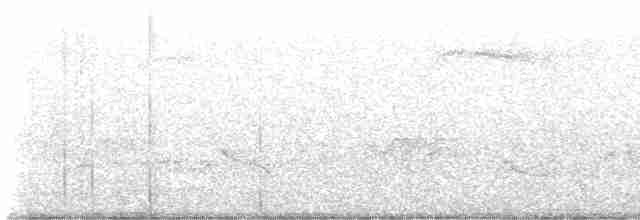Kentucky Warbler - ML619466252