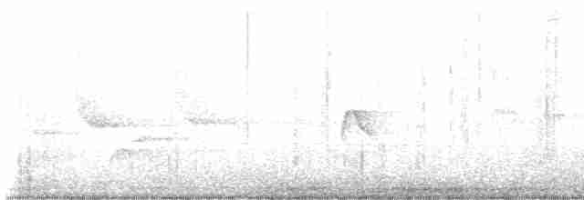 Sarı Karınlı Boreal Sinekkapan - ML619466437