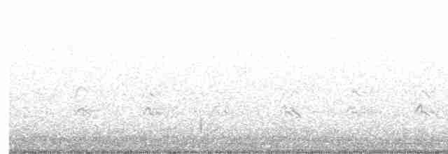 Тауї плямистий - ML619466598