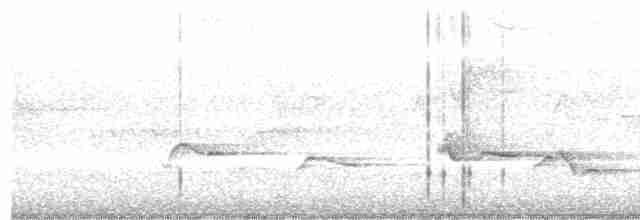 Піранга пломениста - ML619467550