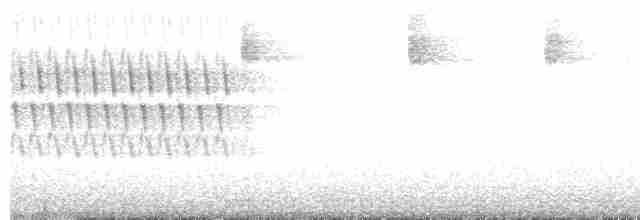Kara Gözlü Junko [oreganus grubu] - ML619467751