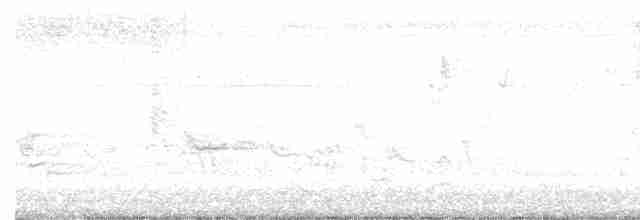 Oriole des vergers - ML619467824
