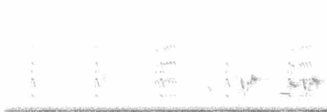 Kısa Kuyruklu Bataklıkkırlangıcı - ML619468089