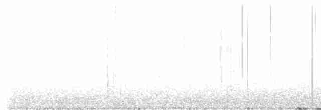 Batı Amerika Sinekkapanı (occidentalis/hellmayri) - ML619468192