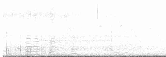 Cisne Trompetero - ML619468243