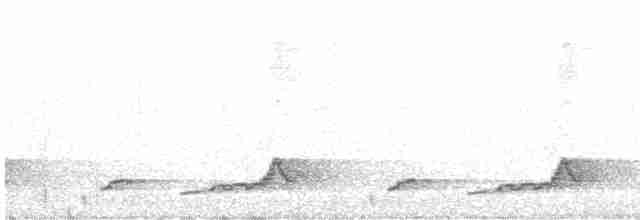 Schwarzkehl-Nachtschwalbe - ML619468306