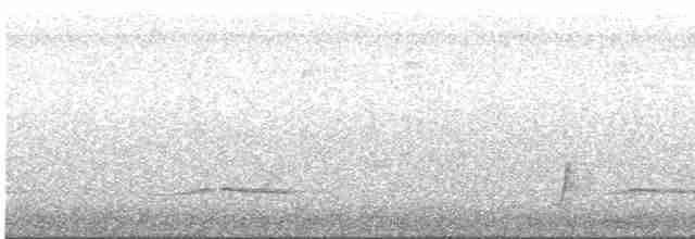 Brown-crested Flycatcher - ML619468783