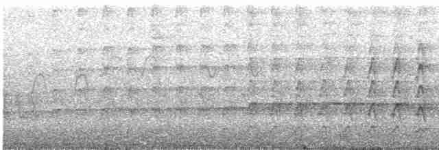 Шилоклювый дятел (auratus/luteus) - ML619469102