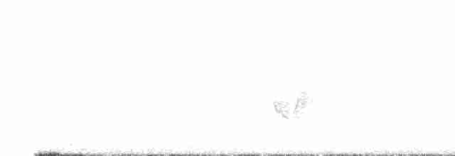 Черногорлая хвойница - ML619469167