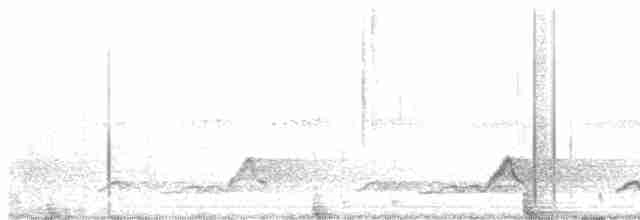 Schwarzkehl-Nachtschwalbe - ML619469448