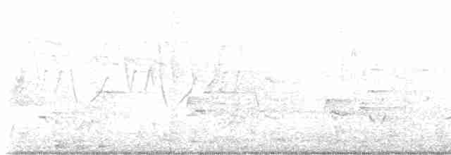 Common Yellowthroat - ML619469477