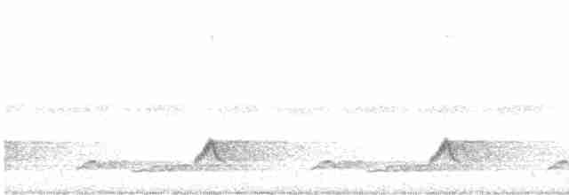 Schwarzkehl-Nachtschwalbe - ML619469597