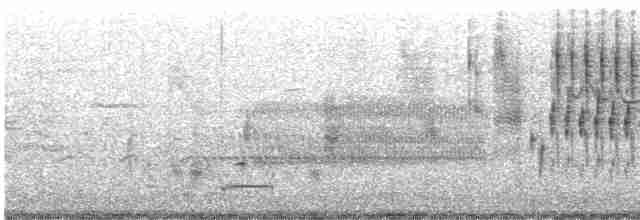 Болотный крапивник - ML619470148