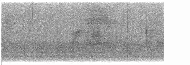Піві-малюк вербовий - ML619470213