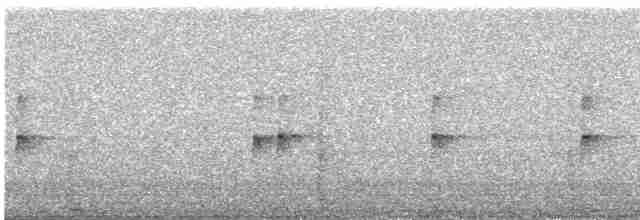 Каролинский крапивник - ML619470261