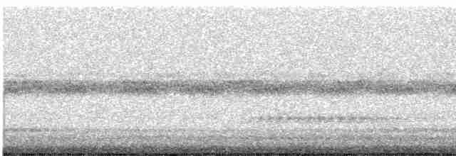 Короткоклювый бекасовидный веретенник - ML619470265