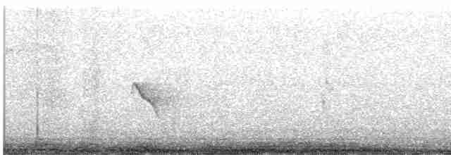 Evening Grosbeak (type 1) - ML619470336