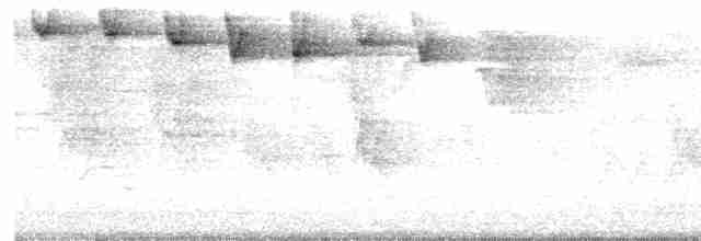 Paruline rayée - ML619470547